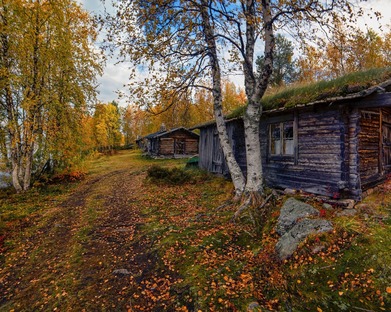 Обои дорога, дом, деревья, домик, окно, берег, листопад, лес, березы, листва, осень, водоем, road, house, trees, window, shore, falling leaves, forest, birch, foliage, autumn, pond разрешение 3072x1728 Загрузить