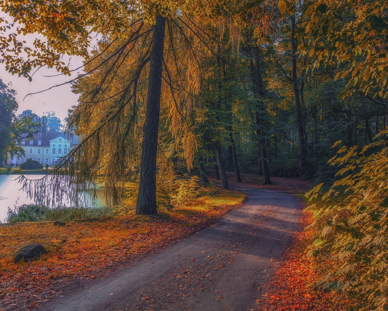 Обои дорога, деревья, озеро, лес, парк, осень, здание, road, trees, lake, forest, park, autumn, the building разрешение 5616x3744 Загрузить