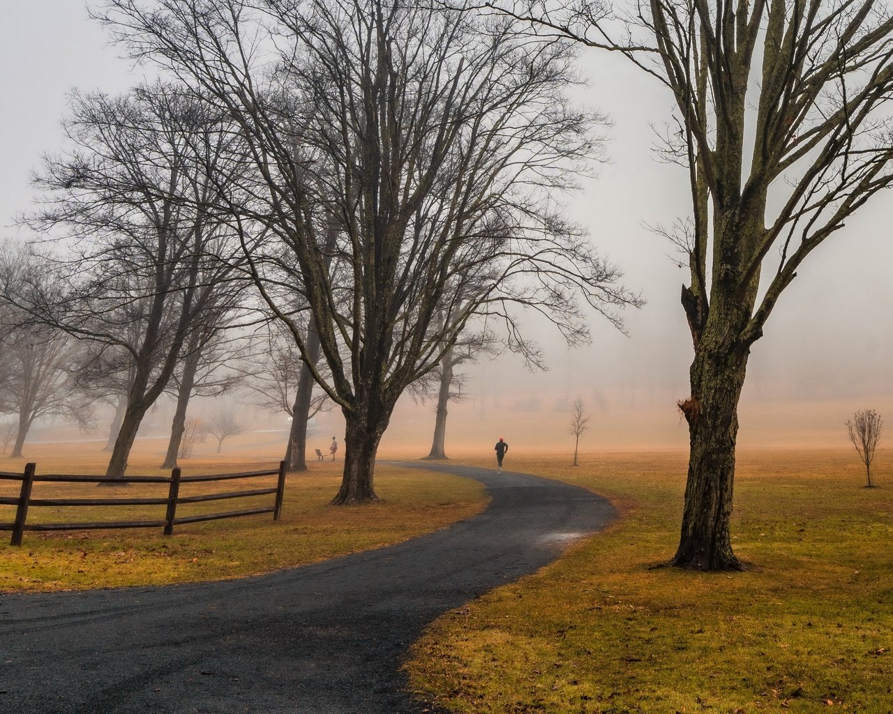 Обои дорога, деревья, природа, road, trees, nature разрешение 3840x2160 Загрузить