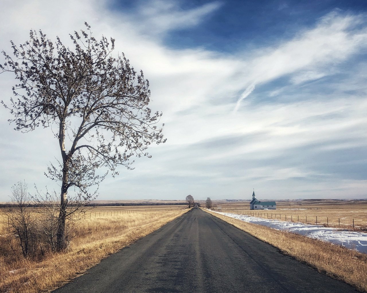 Обои дорога, дерево, поле, road, tree, field разрешение 3840x2160 Загрузить