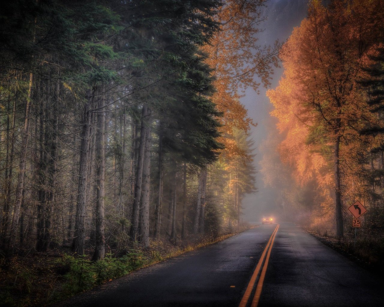 Обои дорога, лес, осень, road, forest, autumn разрешение 2048x1370 Загрузить