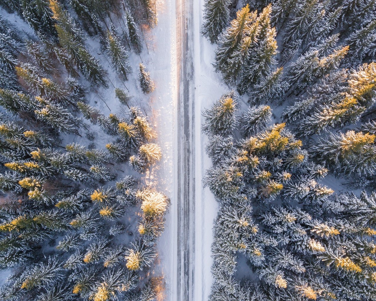 Обои дорога, снег, лес, зима, ели, road, snow, forest, winter, ate разрешение 3840x2160 Загрузить