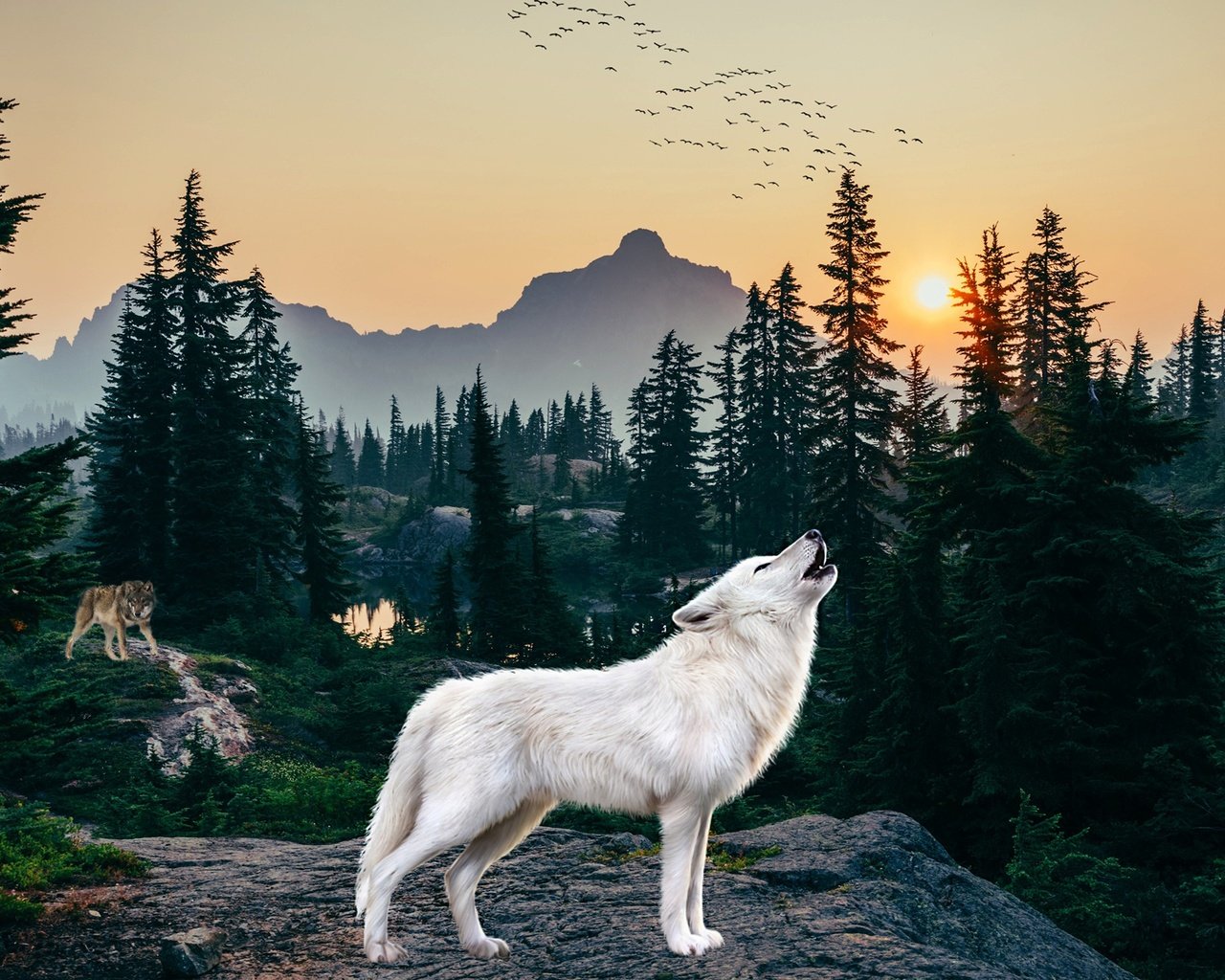 Обои лес, белый, рендеринг, волк, вой, полярный, forest, white, rendering, wolf, howl, polar разрешение 2560x1440 Загрузить