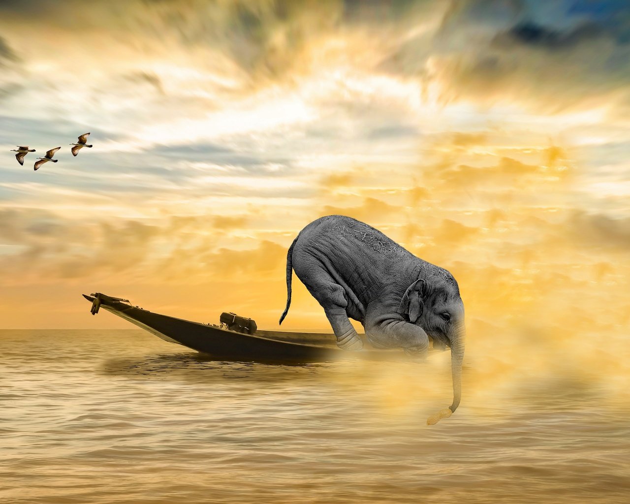 Обои море, слон, водоем, лодка, рендеринг, чайки, sea, elephant, pond, boat, rendering, seagulls разрешение 3840x2560 Загрузить