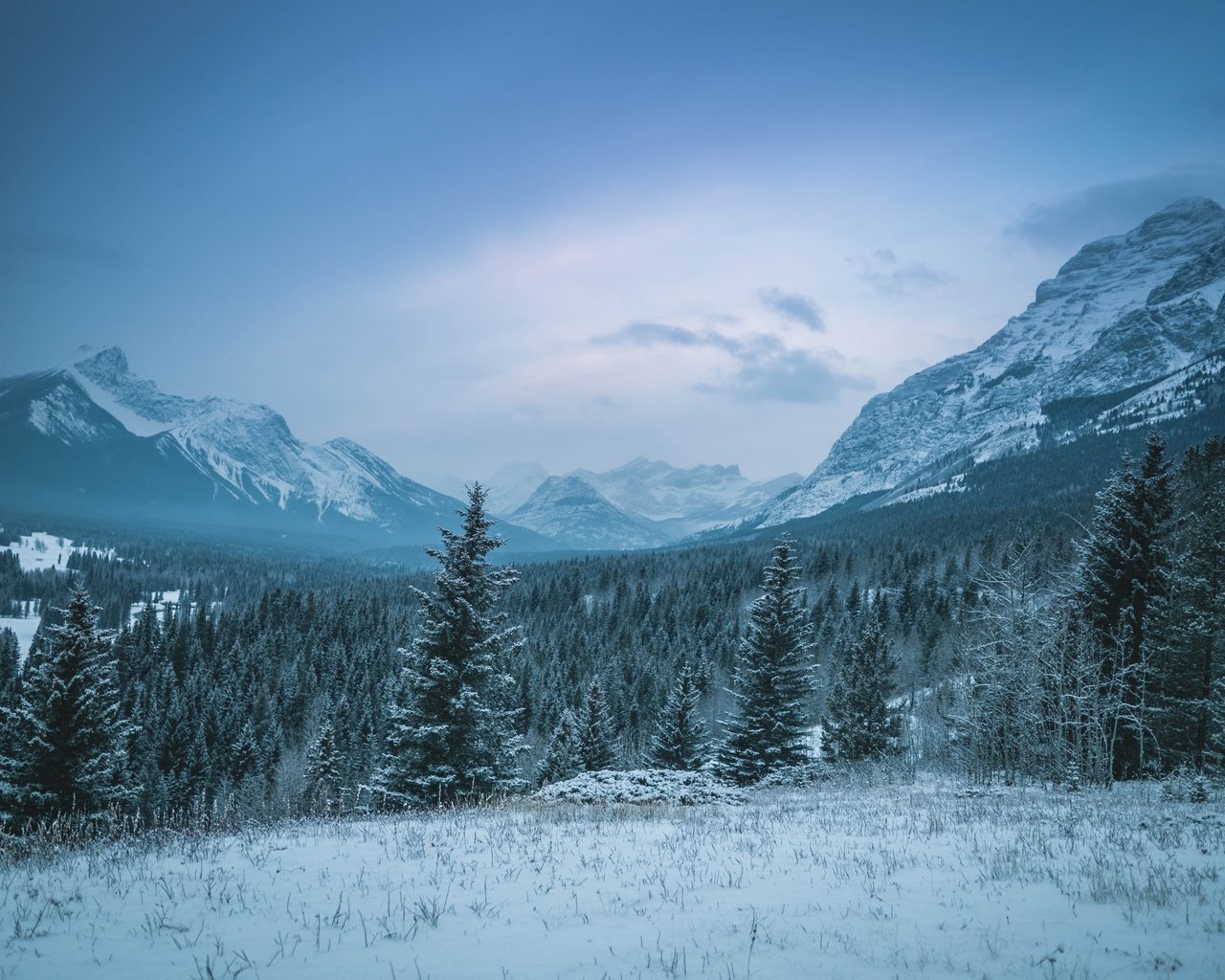 Обои небо, канада, облака, кананаскис, горы, скалы, снег, природа, лес, зима, the sky, canada, clouds, kananaskis, mountains, rocks, snow, nature, forest, winter разрешение 6000x4000 Загрузить