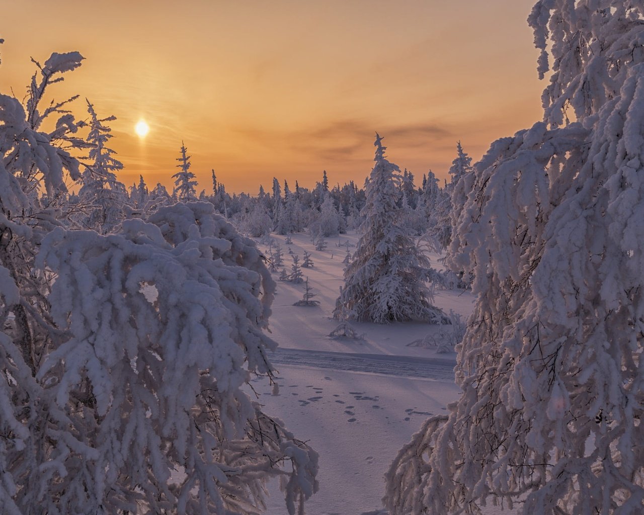 Обои солнце, ели, снег, природа, лес, закат, зима, пейзаж, ветки, the sun, ate, snow, nature, forest, sunset, winter, landscape, branches разрешение 2000x1261 Загрузить