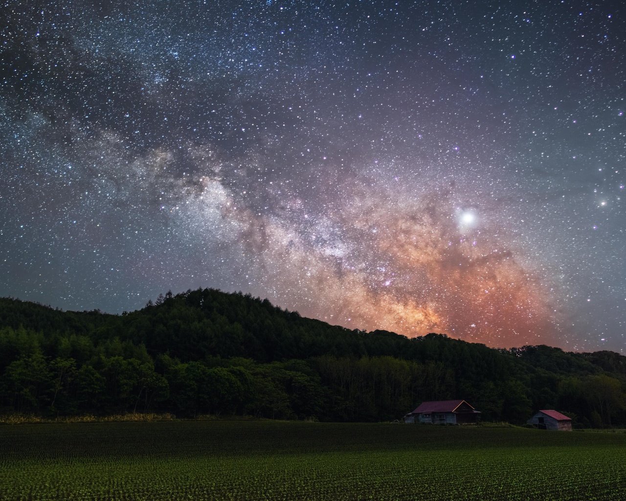 Обои ночь, пейзаж, поле, япония, звездное небо, млечный путь, night, landscape, field, japan, starry sky, the milky way разрешение 3840x2400 Загрузить