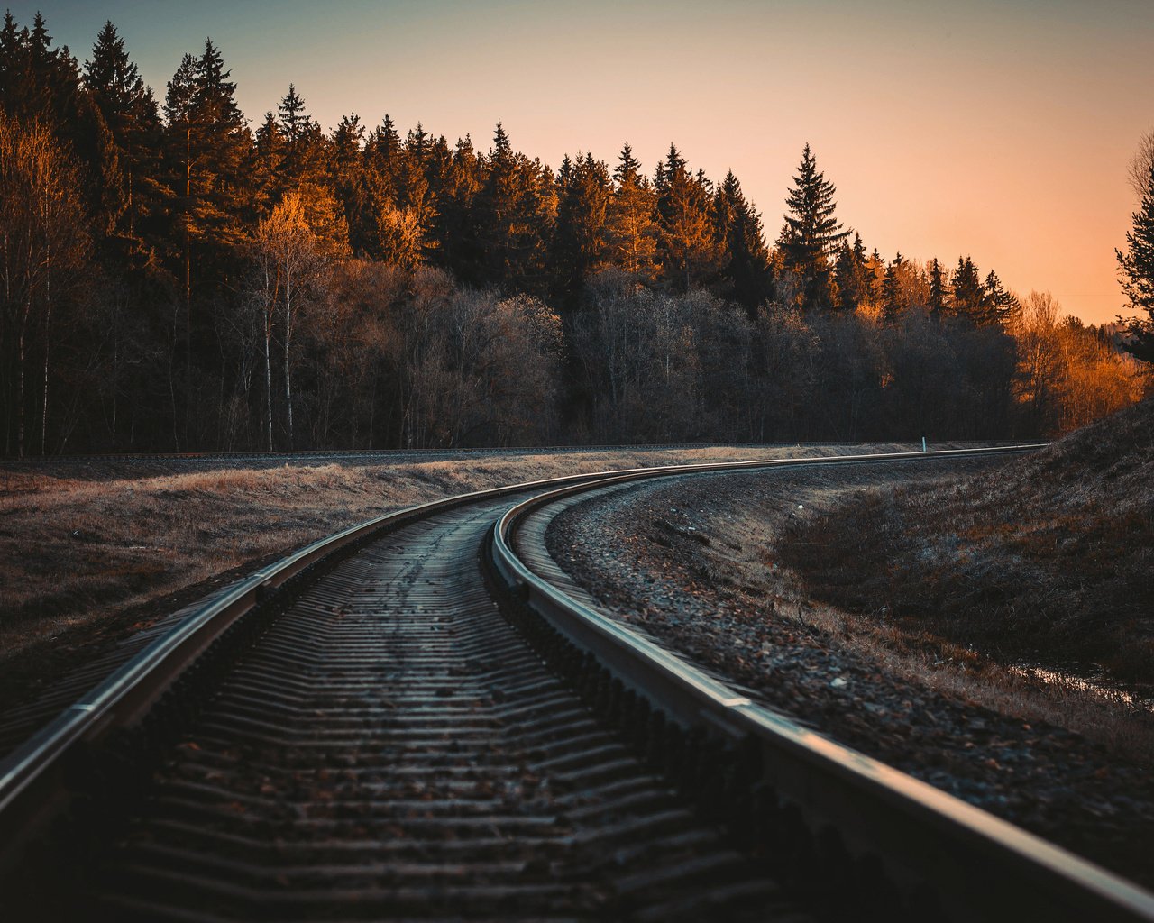 Обои железная дорога, рельсы, лес, осень, railroad, rails, forest, autumn разрешение 3840x2400 Загрузить