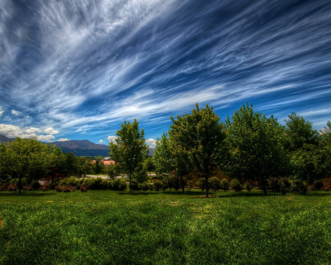 Обои небо, трава, облака, деревья, природа, зелень, пейзаж, the sky, grass, clouds, trees, nature, greens, landscape разрешение 2880x1800 Загрузить