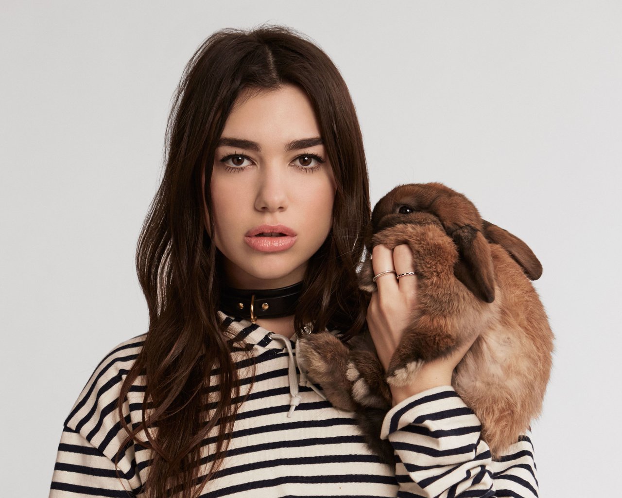 Обои кролик, певица, дуа липа, rabbit, singer, dua lipa разрешение 3714x2872 Загрузить