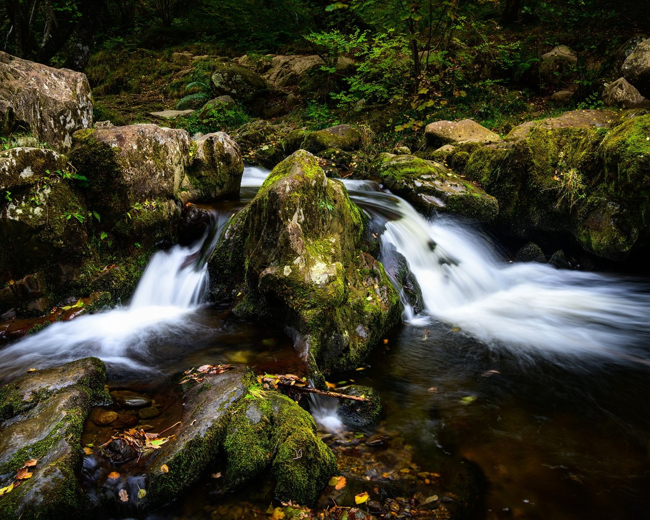 Обои вода, река, камни, ручей, мох, water, river, stones, stream, moss разрешение 3840x2559 Загрузить