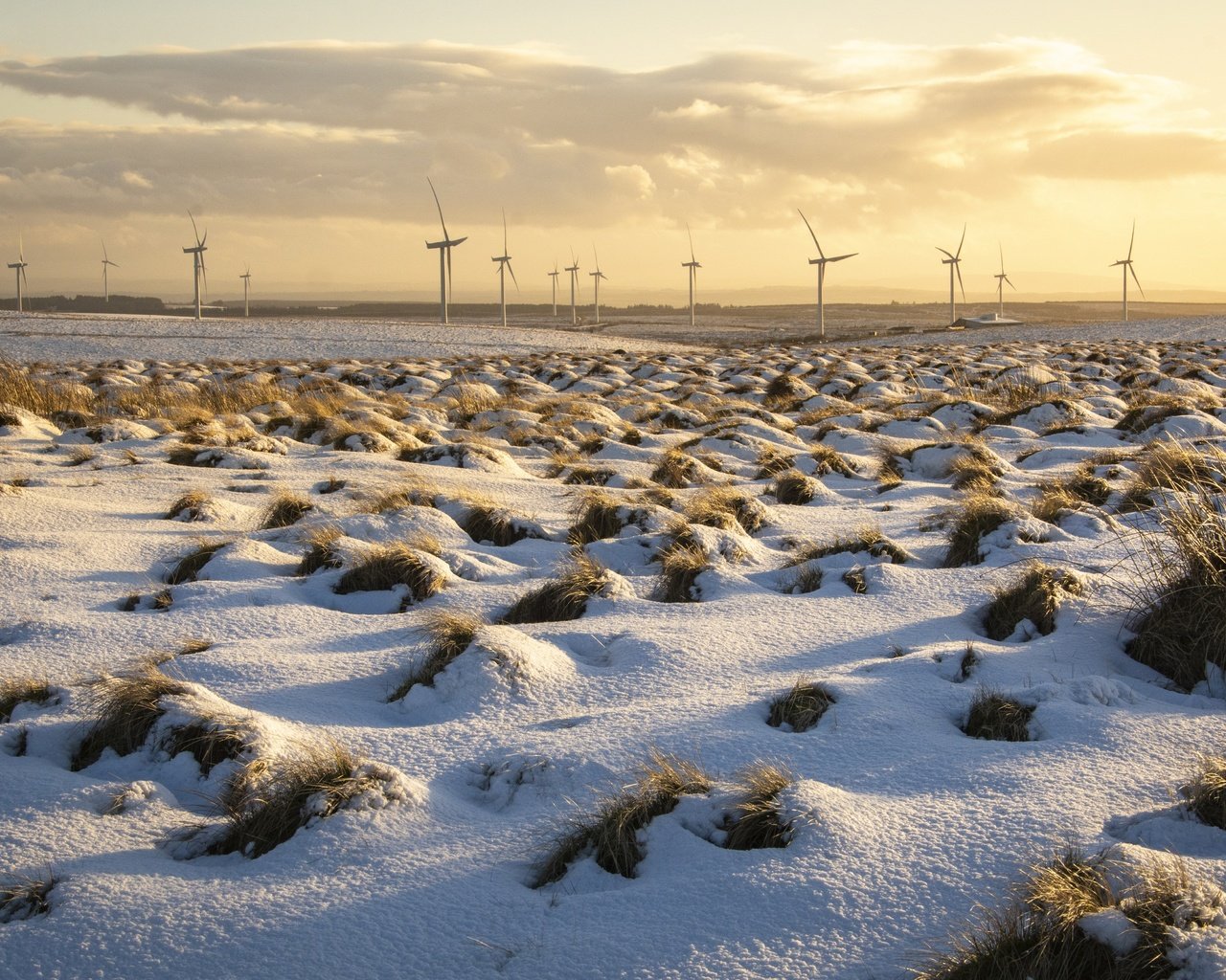 Обои снег, поле, ветряки, snow, field, windmills разрешение 5351x3567 Загрузить