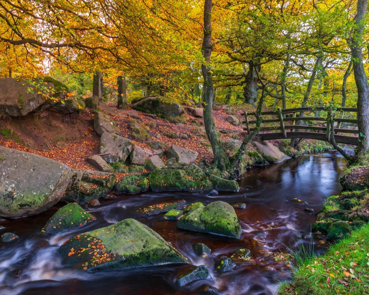 Обои деревья, речка, природа, камни, мостик, лес, пейзаж, парк, осень, trees, river, nature, stones, the bridge, forest, landscape, park, autumn разрешение 2850x1771 Загрузить