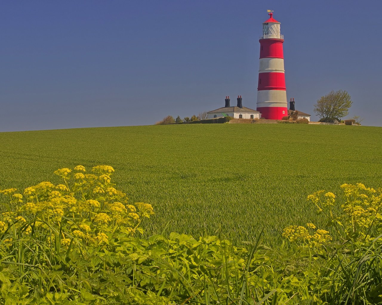 Обои поле, маяк, дом, англия, field, lighthouse, house, england разрешение 3072x2048 Загрузить