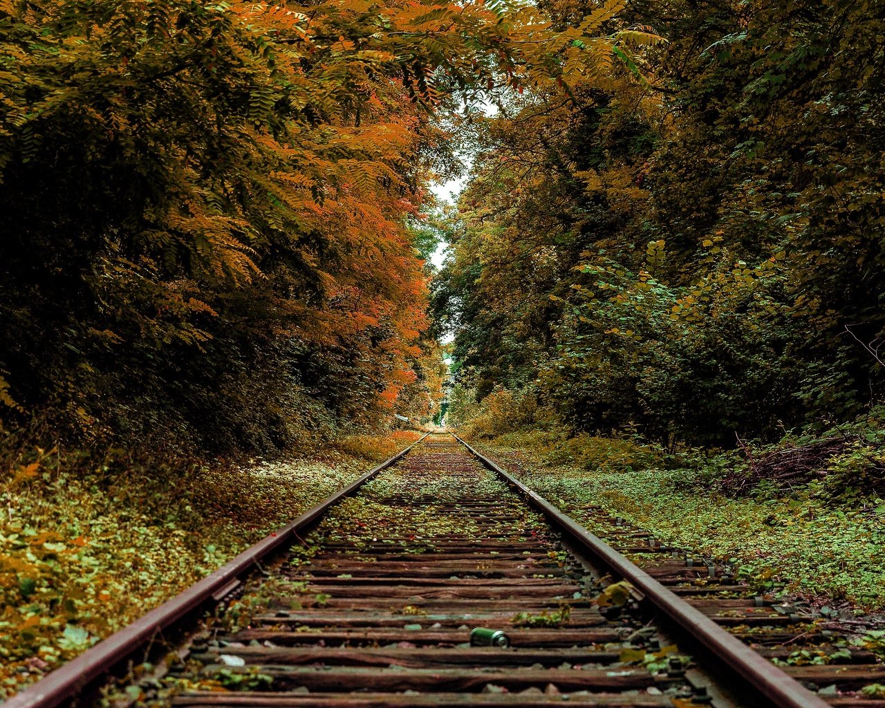 Обои железная дорога, рельсы, осень, railroad, rails, autumn разрешение 3840x2160 Загрузить