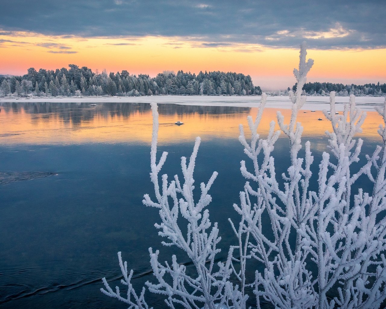 Обои озеро, ветки, иней, осень, швеция, ноябрь, лапландия, изморозь, lake, branches, frost, autumn, sweden, november, lapland разрешение 2048x1362 Загрузить