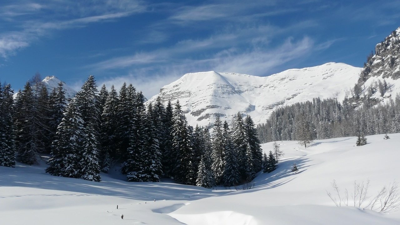 Обои горы, снег, лес, зима, mountains, snow, forest, winter разрешение 1920x1080 Загрузить