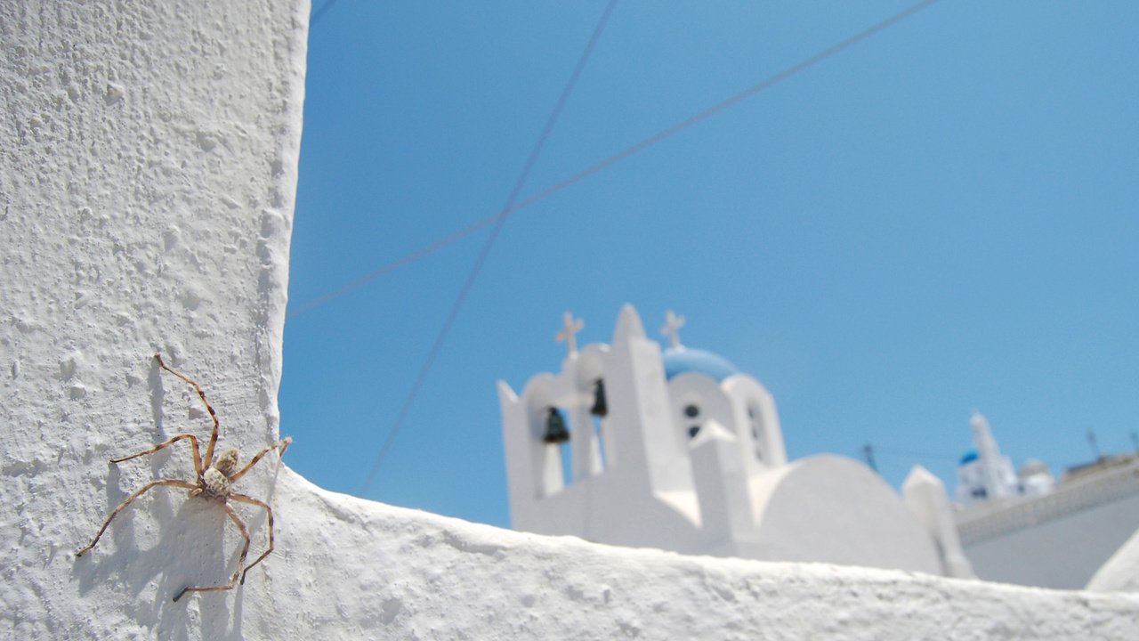 Обои небо, синий, белый, церковь, паук, санторини, the sky, blue, white, church, spider, santorini разрешение 2560x1600 Загрузить