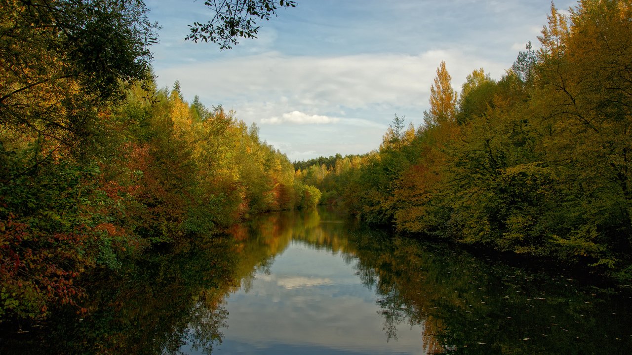 Обои облака, деревья, вода, лес, clouds, trees, water, forest разрешение 1920x1200 Загрузить