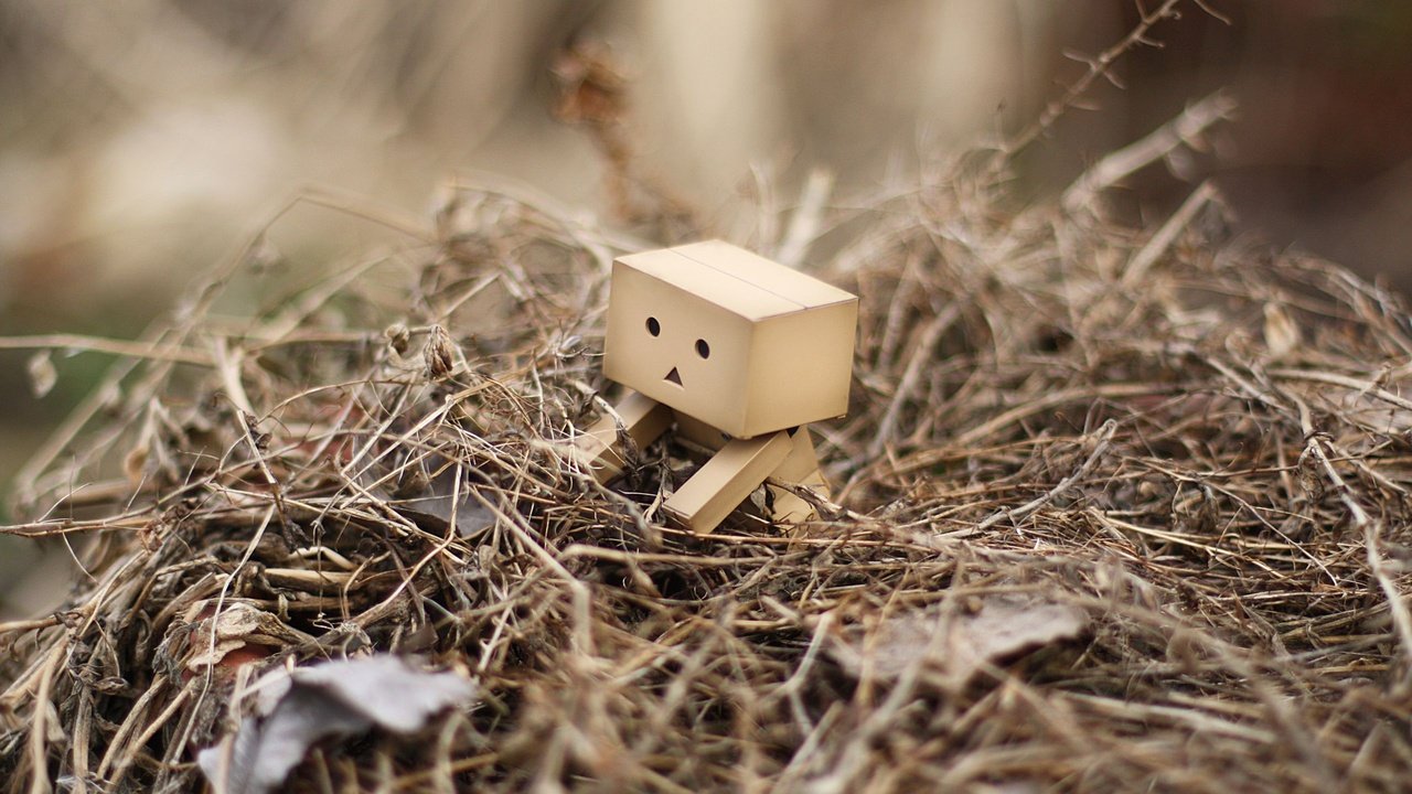 Обои трава, листья, робот, куча, данбо, дамбо, grass, leaves, robot, a bunch, danbo, dumbo разрешение 2560x1600 Загрузить