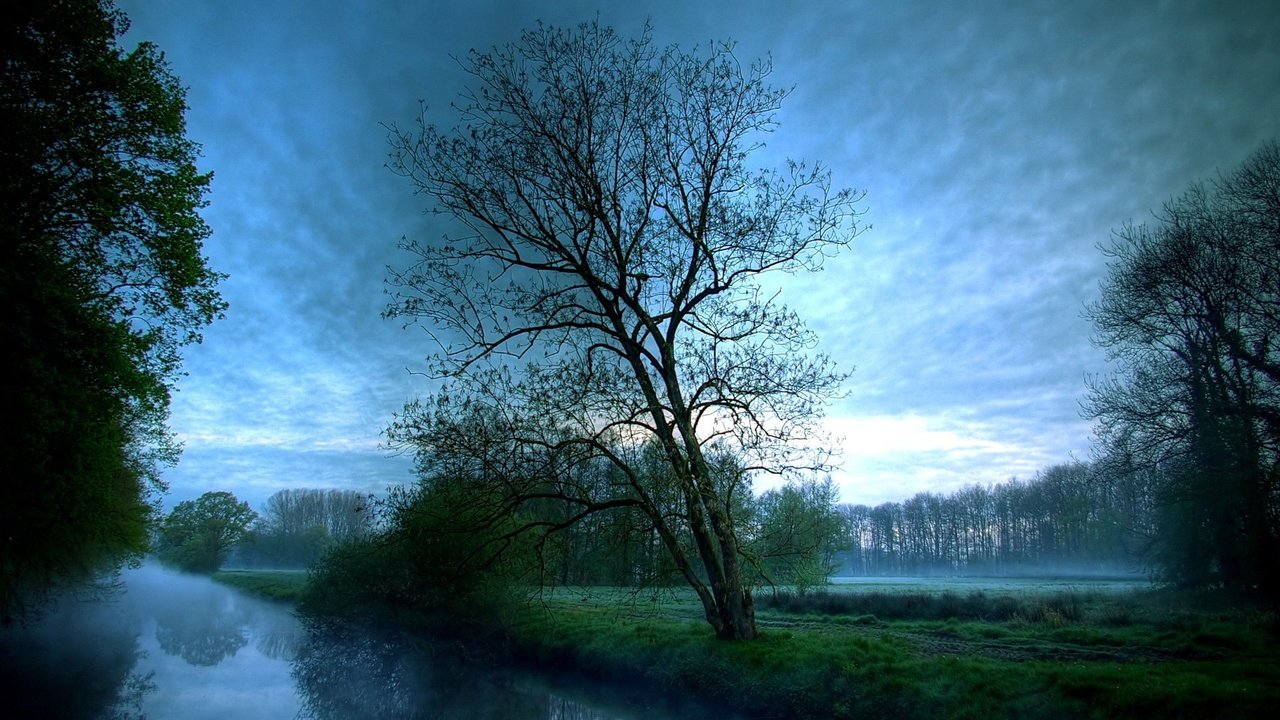 Обои облака, деревья, река, утро, туман, clouds, trees, river, morning, fog разрешение 1920x1200 Загрузить
