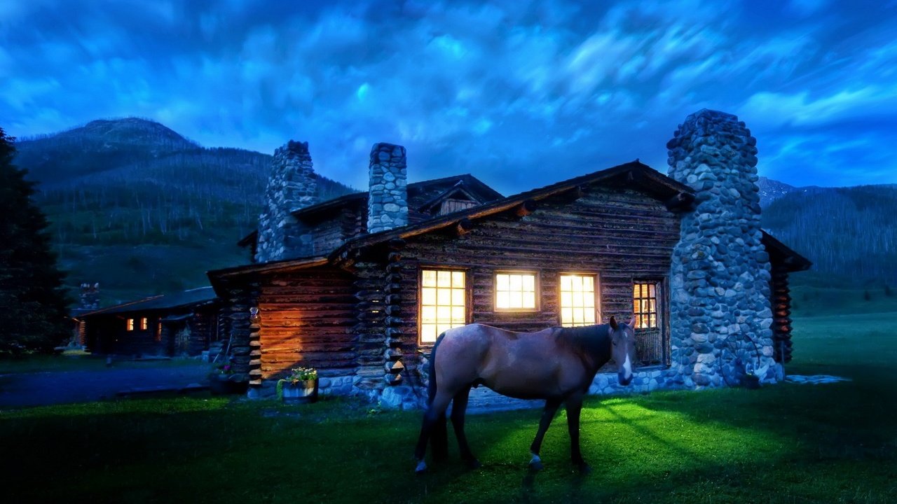 Обои свет, лошадь, дом, light, horse, house разрешение 1920x1200 Загрузить