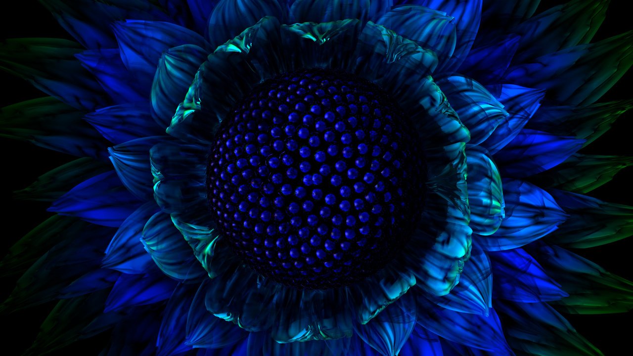 Обои синий, цветок, графика, blue, flower, graphics разрешение 2560x1600 Загрузить