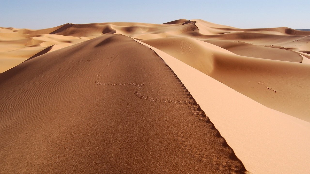 Обои песок, пустыня, следы, sand, desert, traces разрешение 1920x1080 Загрузить