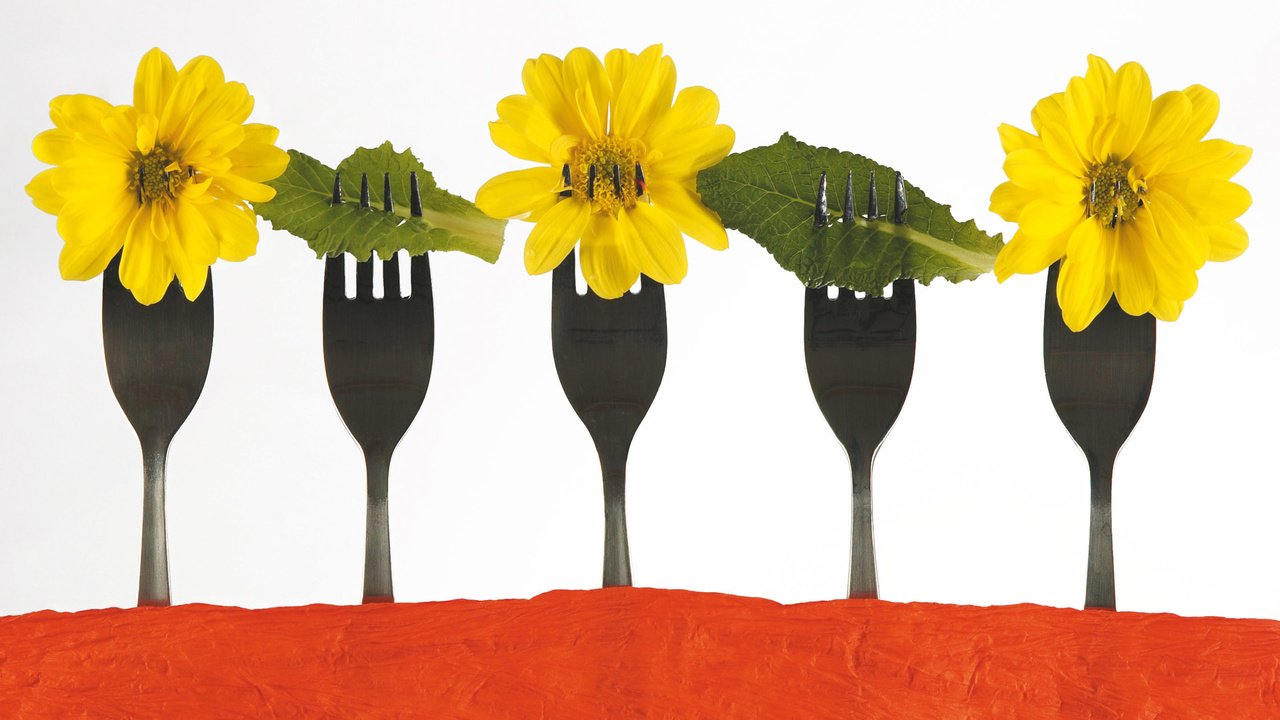 Обои хризантемы, вилки, обед, chrysanthemum, fork, lunch разрешение 1920x1200 Загрузить