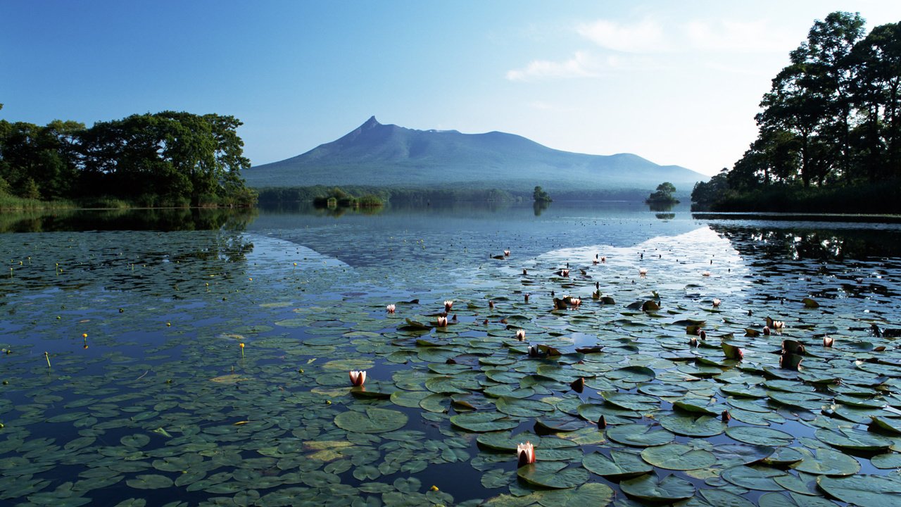 Обои озеро, горы, тишина, лилии, lake, mountains, silence, lily разрешение 1920x1200 Загрузить