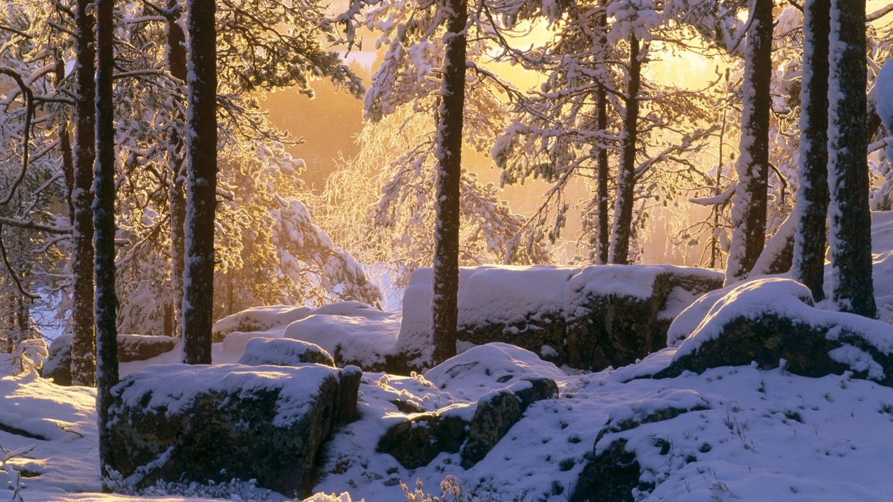 Обои свет, снег, камни, лес, зима, light, snow, stones, forest, winter разрешение 1920x1200 Загрузить