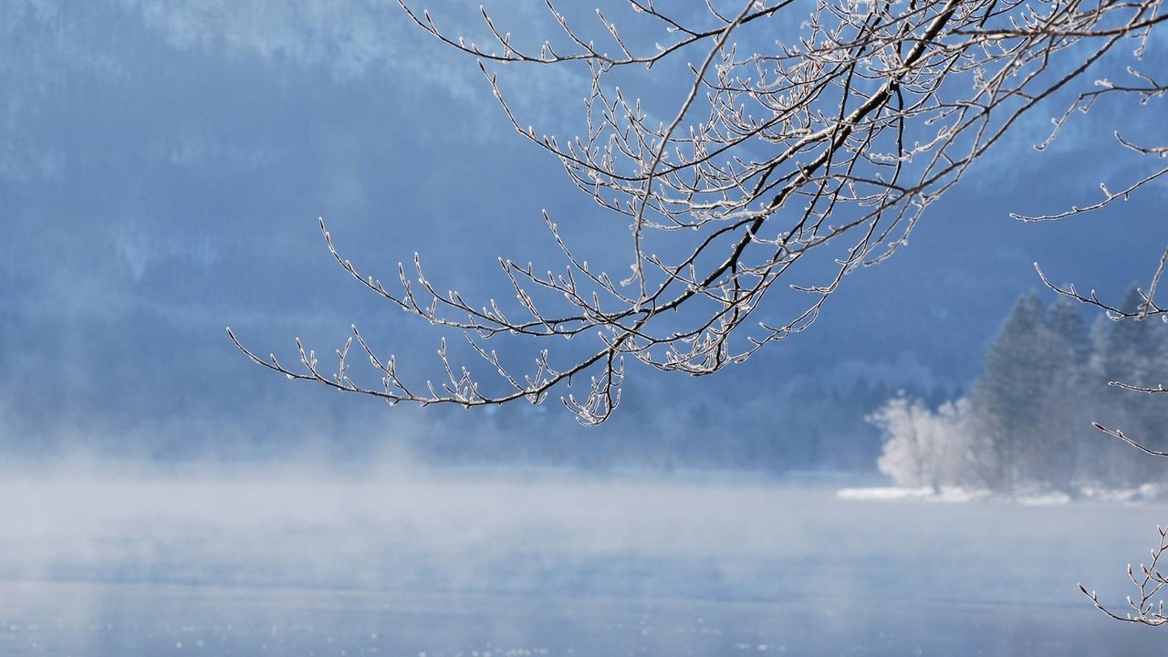 Обои вода, река, ветка, снег, обои, зима, lakes, water, river, branch, snow, wallpaper, winter разрешение 1920x1080 Загрузить