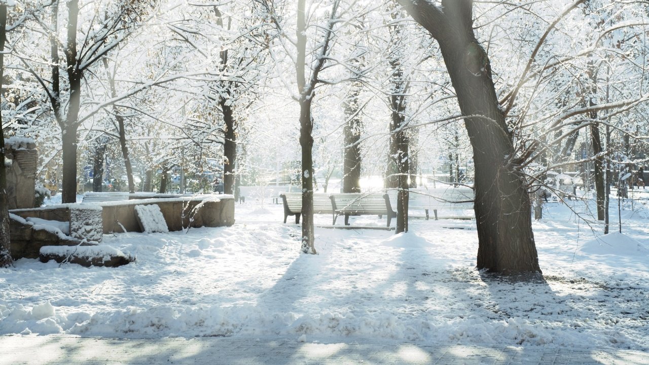 Обои солнце, снег, зима, лучи, парк, скамейки, snow trees, дервья, the sun, snow, winter, rays, park, benches, dervla разрешение 5824x4080 Загрузить