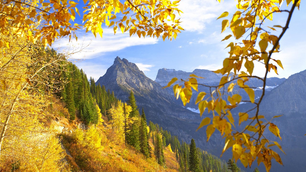Обои горы, природа, лес, осень, монтана, желтая листва, mountains, nature, forest, autumn, montana, yellow foliage разрешение 1920x1080 Загрузить