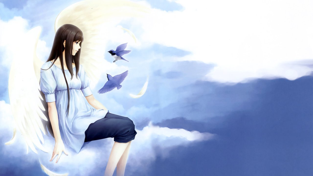 Обои облака, девушка, птицы, нежность, kara no shoujo, clouds, girl, birds, tenderness разрешение 2560x1600 Загрузить