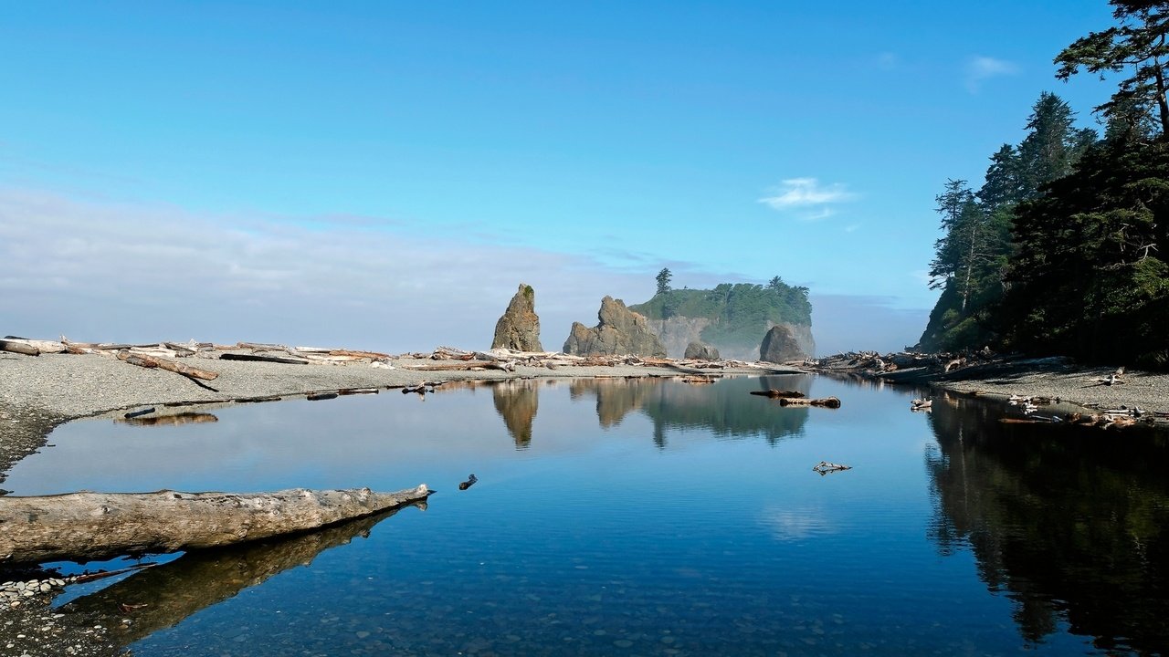 Обои вода, камни, бревна, water, stones, logs разрешение 1920x1080 Загрузить