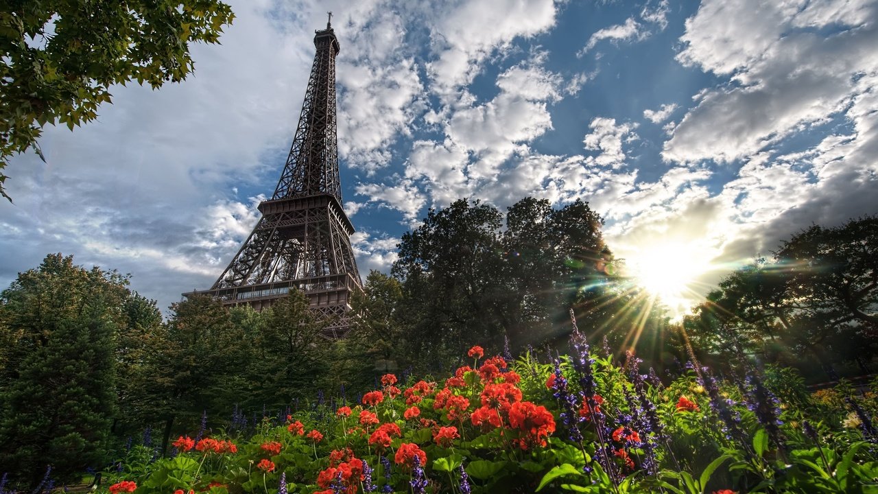 Обои цветы, деревья, солнце, париж, эйфелева башня, flowers, trees, the sun, paris, eiffel tower разрешение 4928x3352 Загрузить