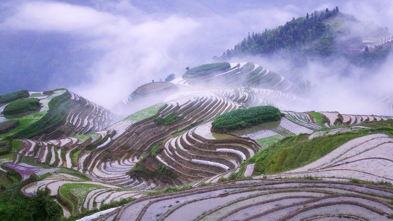 Обои горы, туман, китай, рисовые поля, mountains, fog, china, rice fields разрешение 1920x1200 Загрузить