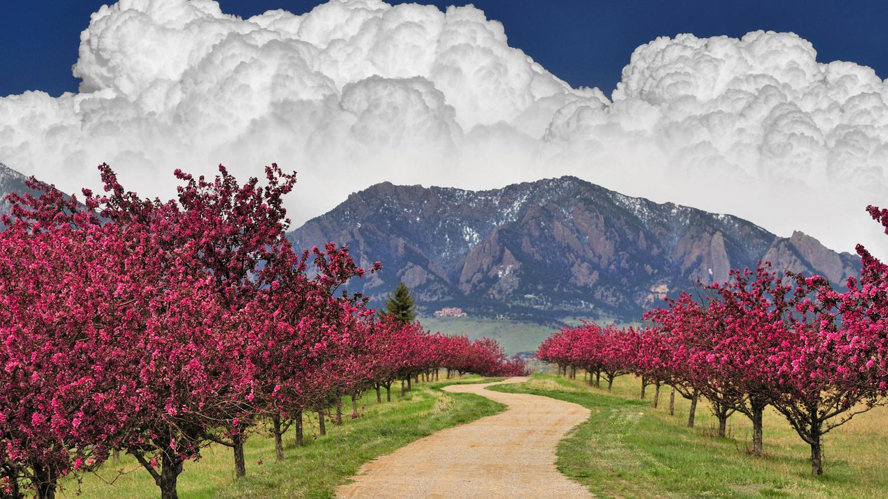 Обои небо, дорога, облака, деревья, горы, цветущее, the sky, road, clouds, trees, mountains, flowering разрешение 1920x1200 Загрузить