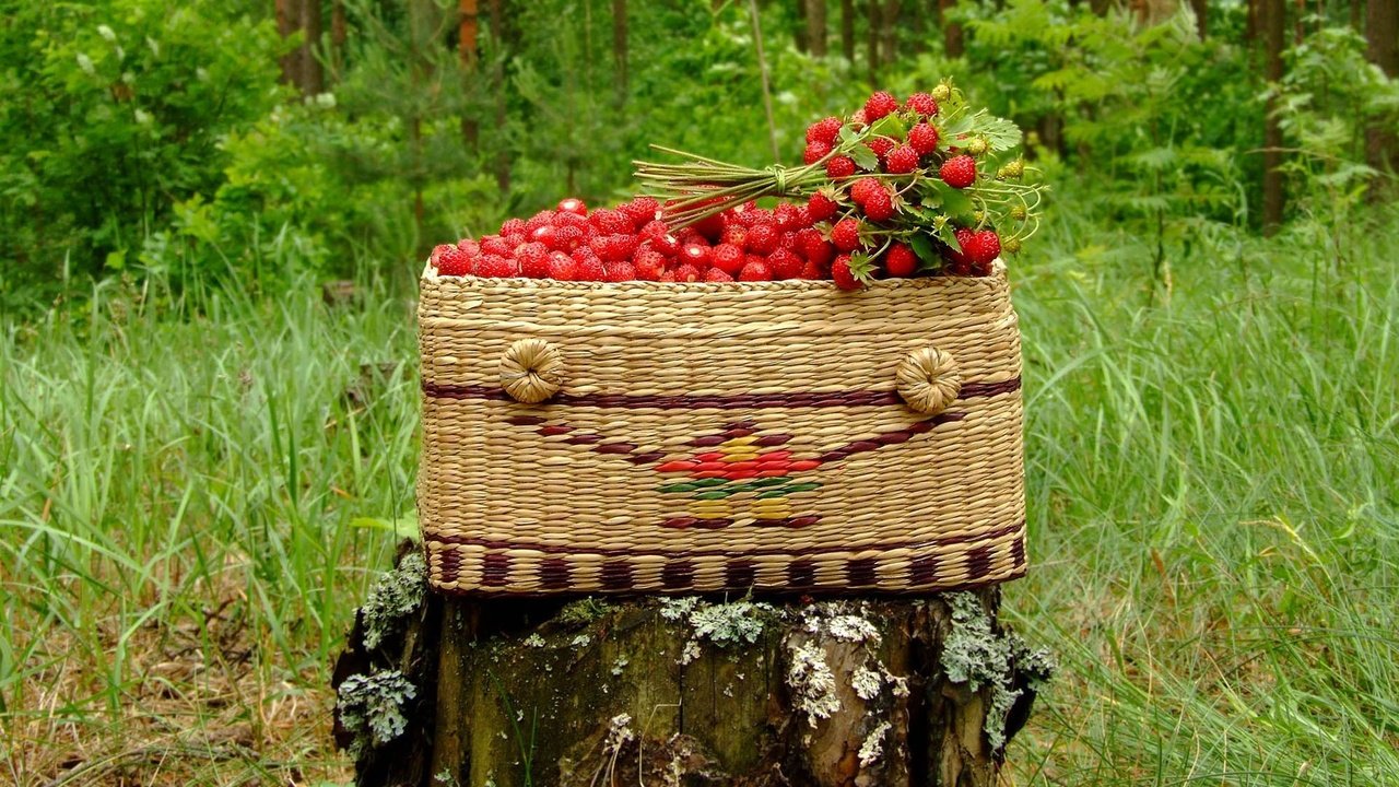 Обои корзина, пень, земляника, basket, stump, strawberries разрешение 1920x1440 Загрузить