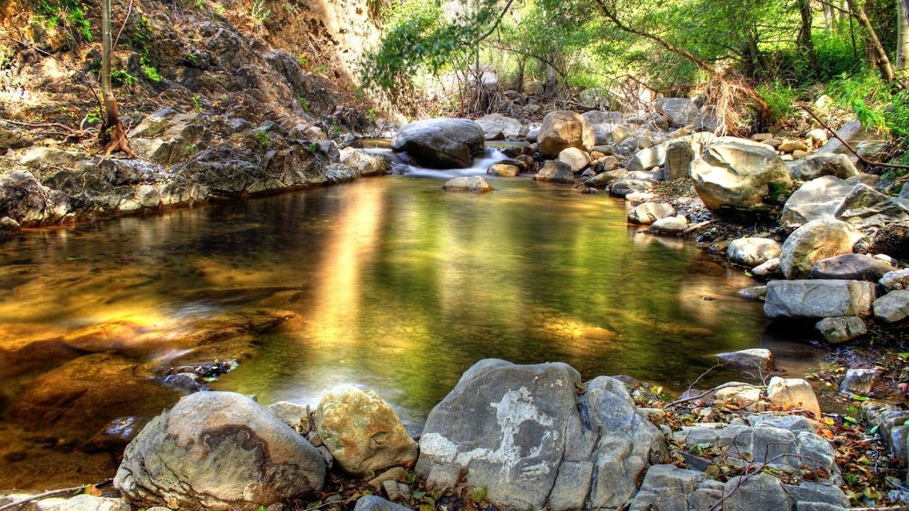 Обои камни, лес, ручей, stones, forest, stream разрешение 1920x1080 Загрузить