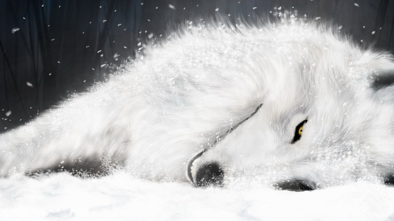 Обои рисунок, белый, волк, волчий дождь, figure, white, wolf, wolf's rain разрешение 1920x1200 Загрузить