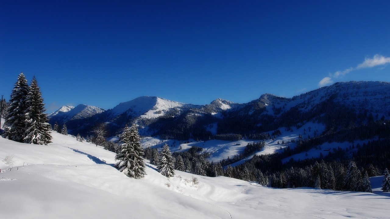 Обои деревья, горы, снег, зима, trees, mountains, snow, winter разрешение 2560x1600 Загрузить