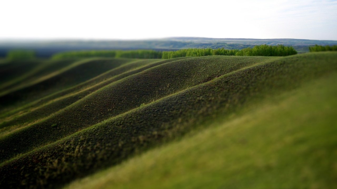 Обои зелень, склон долины, greens, the slope of the valley разрешение 1920x1200 Загрузить