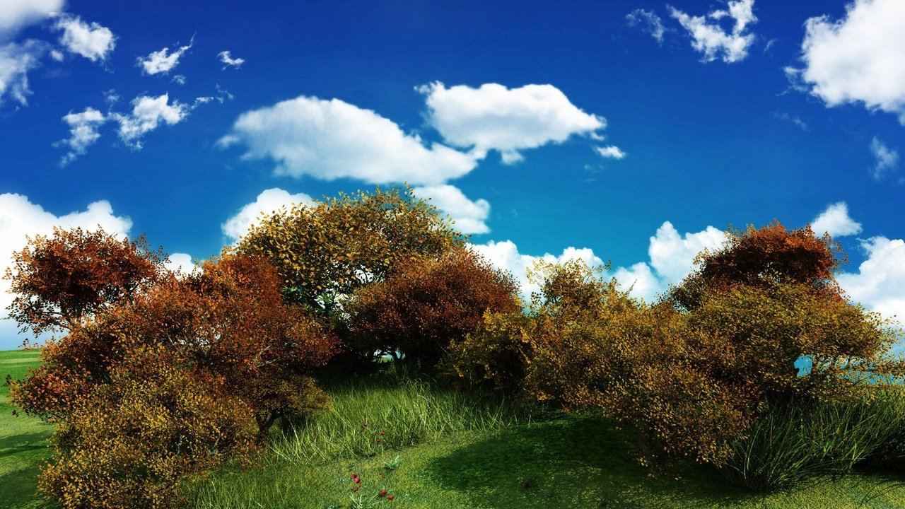 Обои небо, облака, зелень, куст, the sky, clouds, greens, bush разрешение 2560x1600 Загрузить