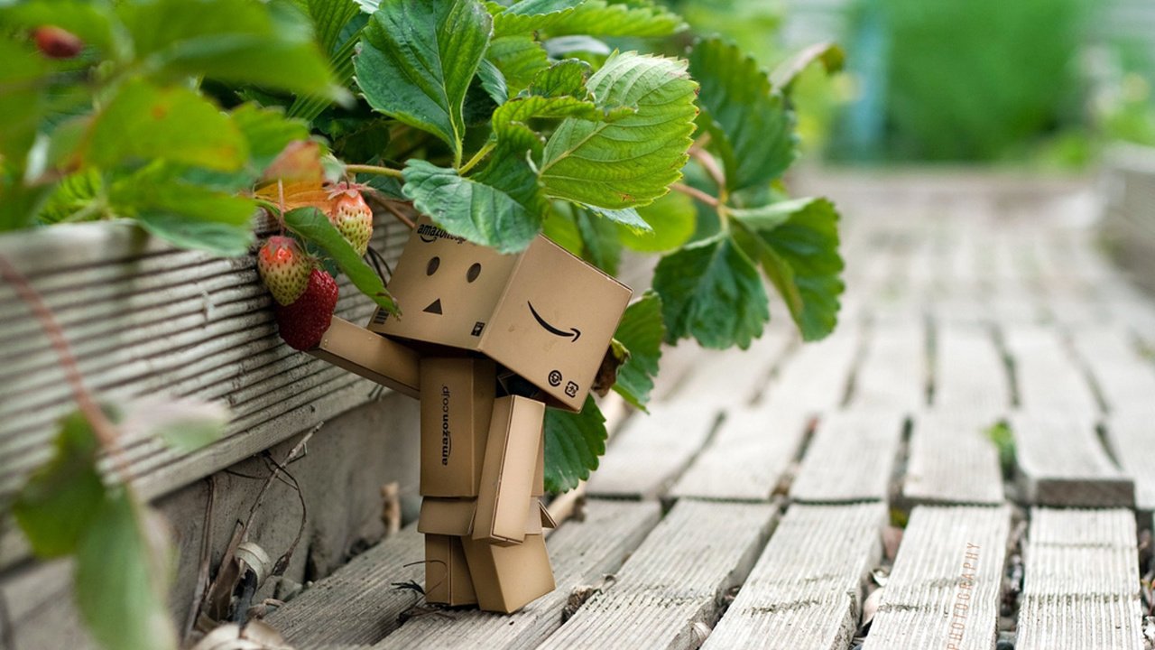 Обои макро, человечек, интерес, земляника, коробочный, macro, man, interest, strawberries, boxed разрешение 1920x1200 Загрузить