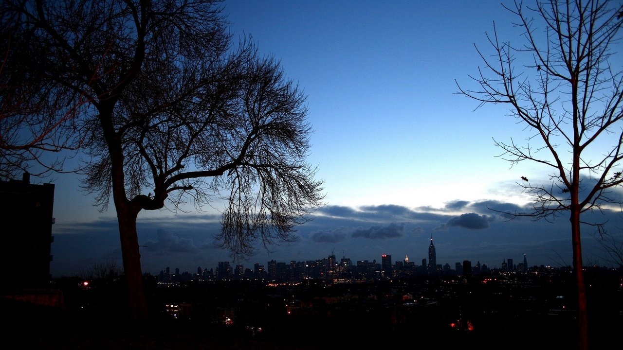 Обои деревья, вечер, город, нью-йорк, trees, the evening, the city, new york разрешение 1920x1200 Загрузить