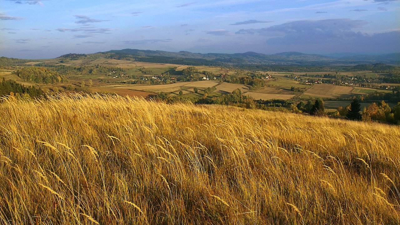 Обои небо, облака, холмы, природа, пейзаж, поле, колосья, польша, the sky, clouds, hills, nature, landscape, field, ears, poland разрешение 1920x1200 Загрузить