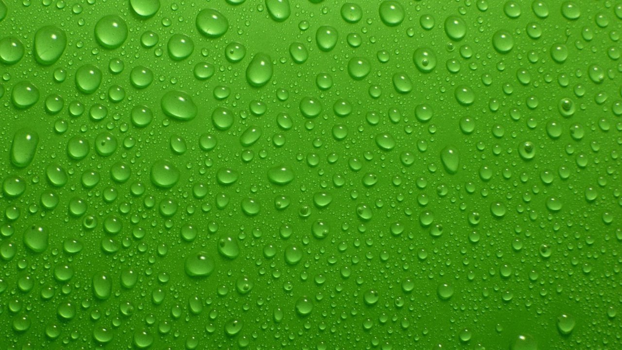 Обои зелёный, фон, капли, капли воды, green, background, drops, water drops разрешение 1920x1200 Загрузить