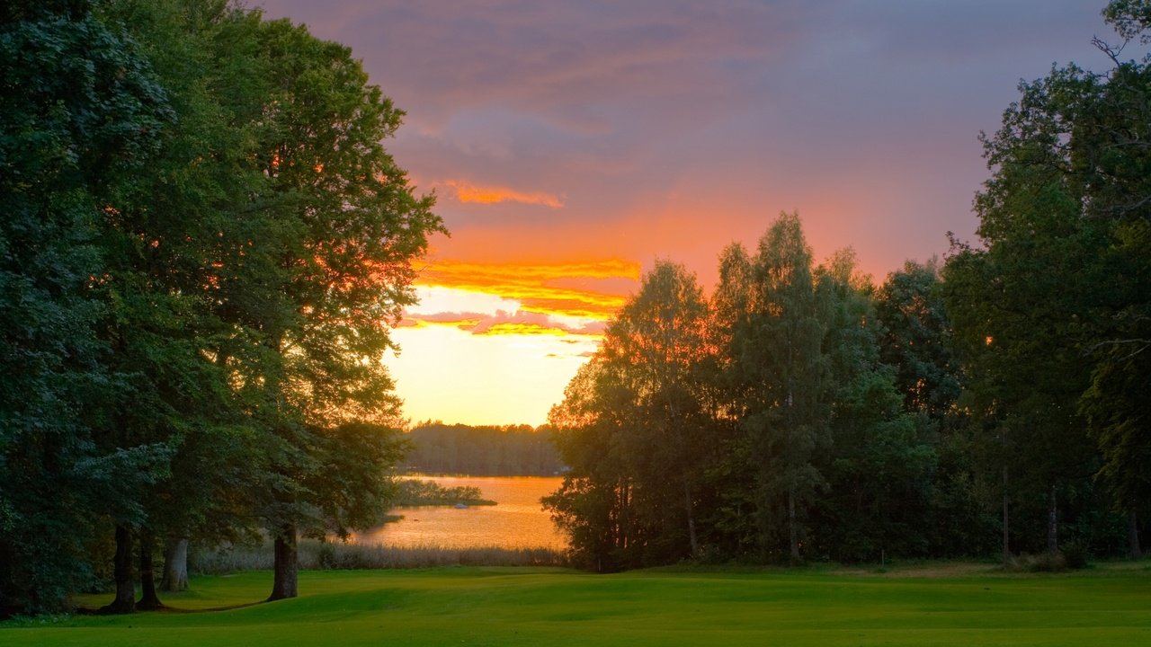 Обои трава, озеро, река, лес, закат, лужайка, деверья, умиротворенье, grass, lake, river, forest, sunset, lawn, devereaux, the peace разрешение 1920x1080 Загрузить